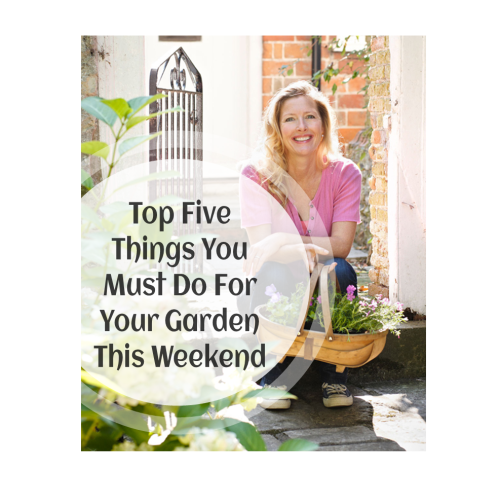 Top 5 Garden Tips and Tricks To Do In February
